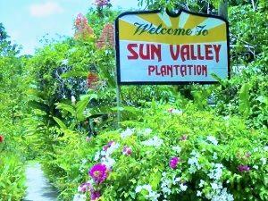 Entrance sign for Sun Valley Plantation in Oracabessa St Mary Jamaica surrounded by tropical gardens.