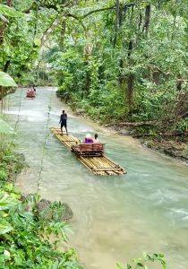 Bamboo rafting on the White River in Ocho Rios Jamaica surrounded by lush tropical rainforest.