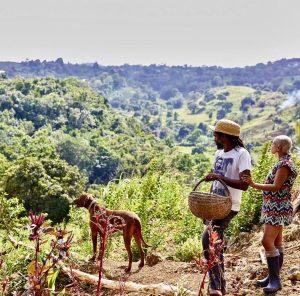 Guests exploring the gardens at Stush in the Bush in St. Ann, Jamaica.